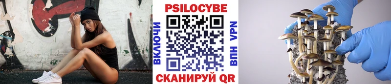 Галлюциногенные грибы ЛСД  купить наркотик  Тбилисская 
